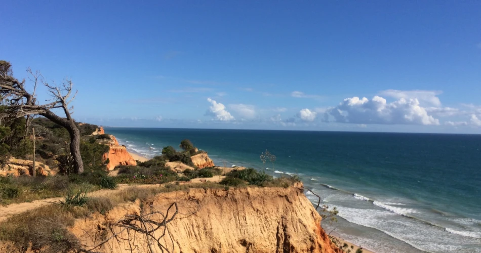 Best Road Trips from Los Angeles for Scenic Adventures