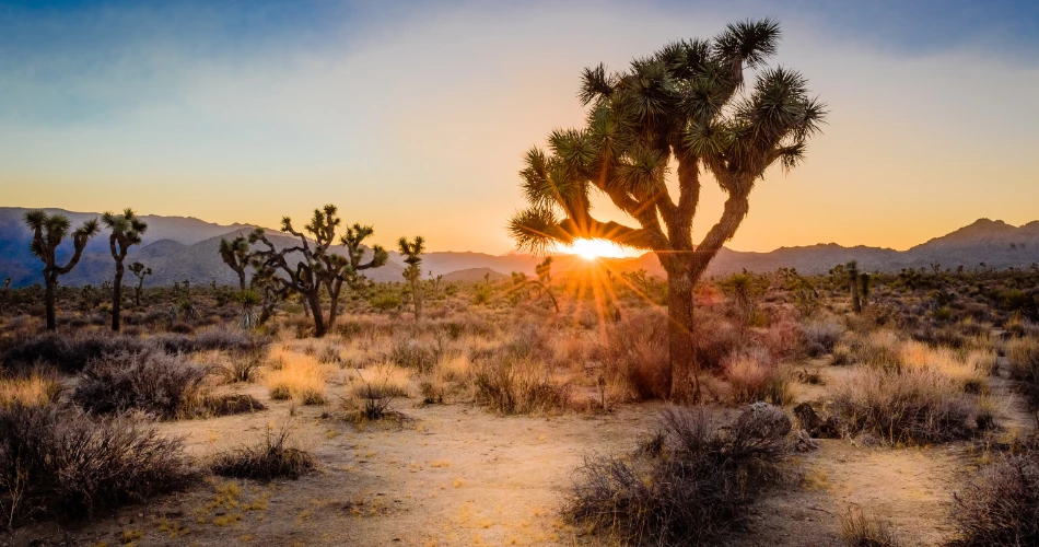 Best Road Trips from Los Angeles for Scenic Adventures
