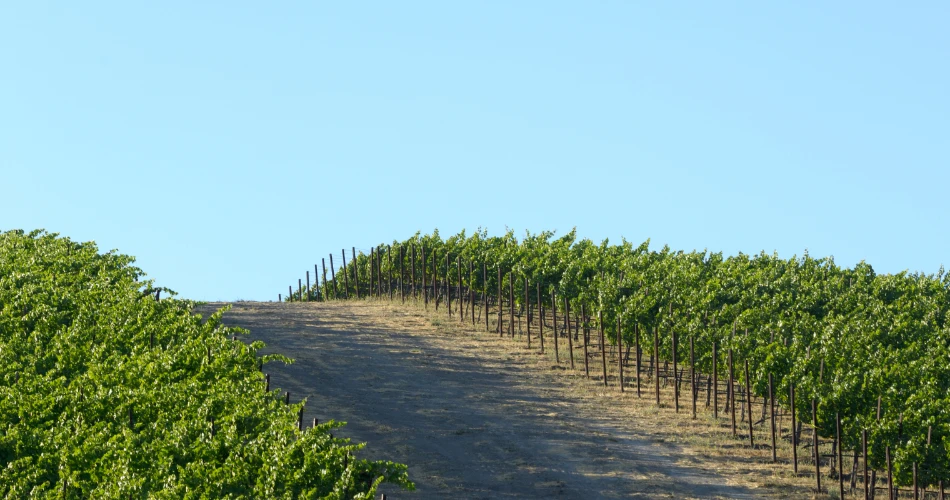 Best Road Trips from Los Angeles for Scenic Adventures